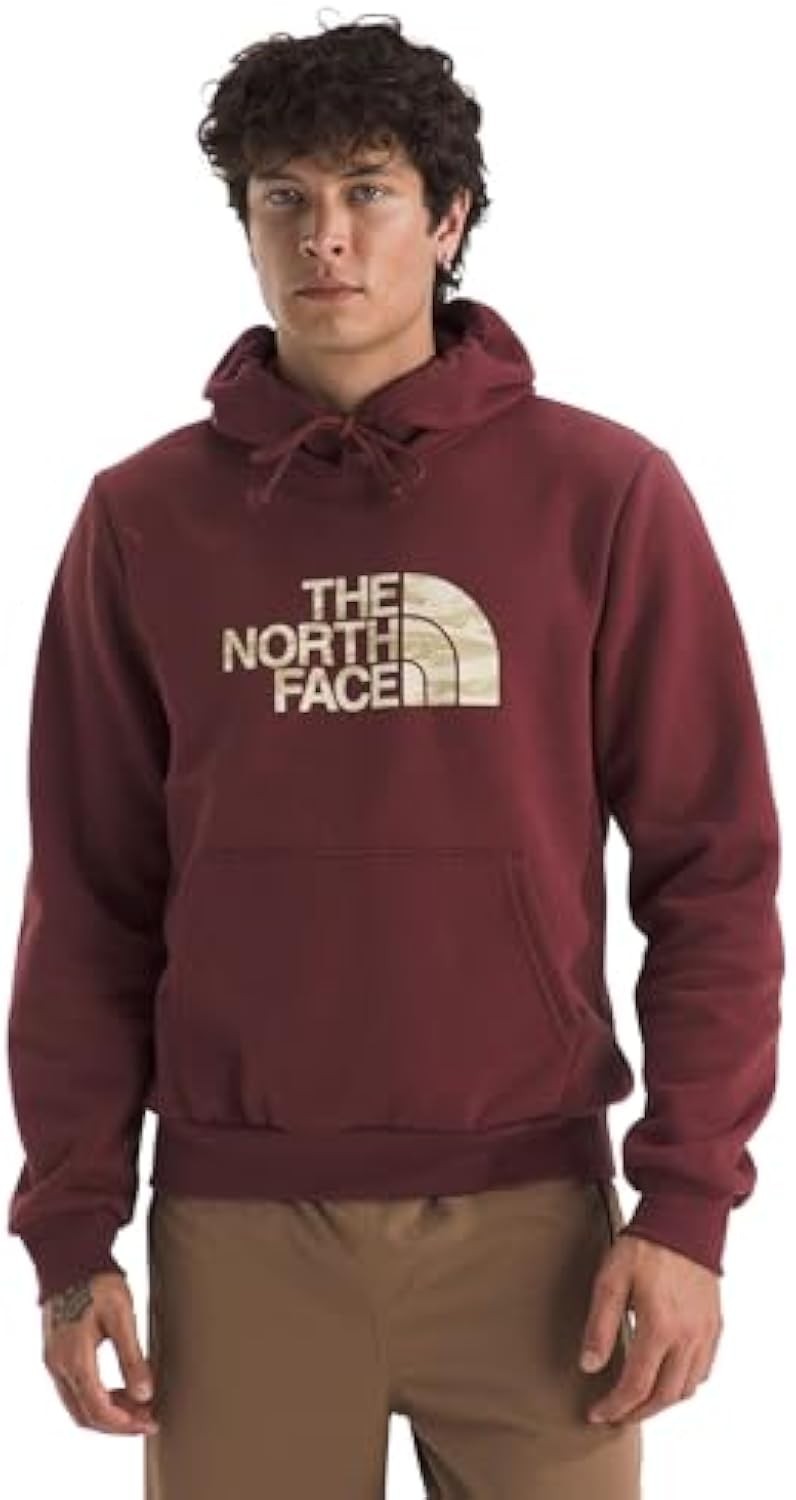 The North Face mens Evolution Edge of Light Half Dome Hoodie